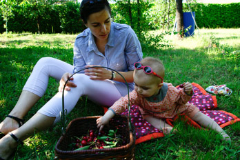 Le temps des cerises