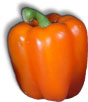 poivron