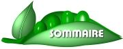 Sommaire