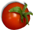 tomate