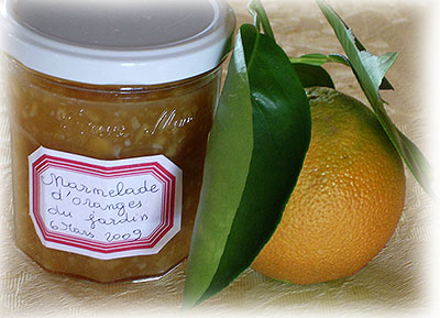 Marmelade d'oranges