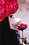 venisebook17