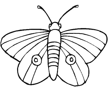 papillon