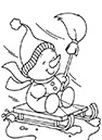 bonhomme_luge