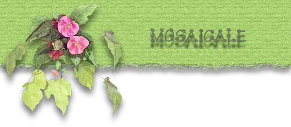 Floraison