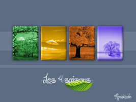 4 saisons