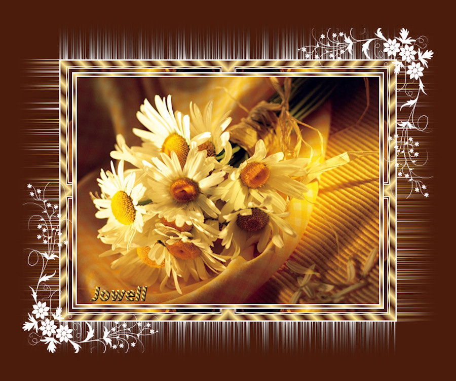 Solenara par Jowell