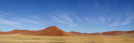 namib41