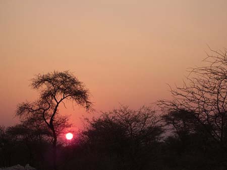 sunset
