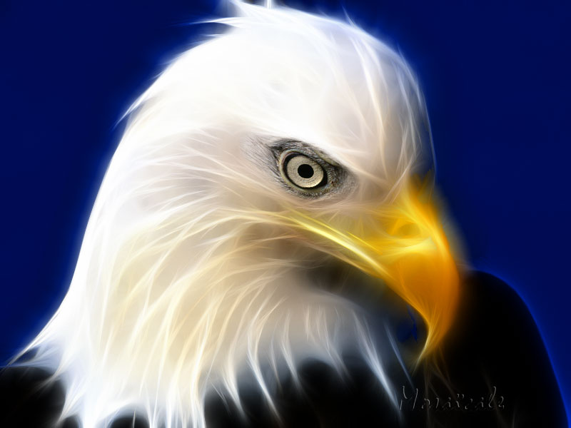 Fractalius
